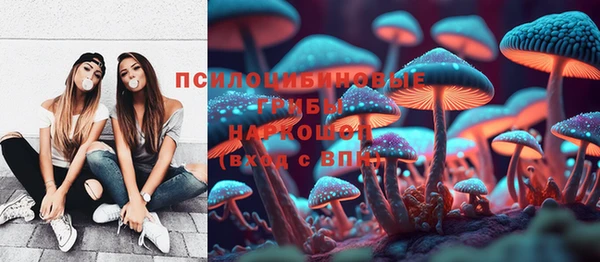 прущая мука Аркадак