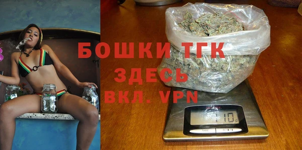 индика Россошь