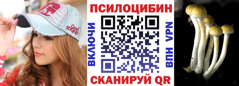 Псилоцибиновые грибы мицелий где купить наркоту мориарти как зайти Байкальск